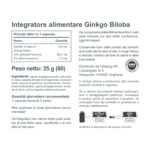 Ginkgo-Forte-1709