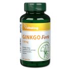 ginkgo-forte-120mg-60-capsule