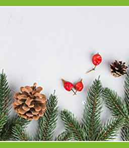 Seasonal products