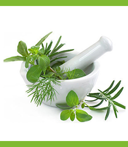 Herbal supplements